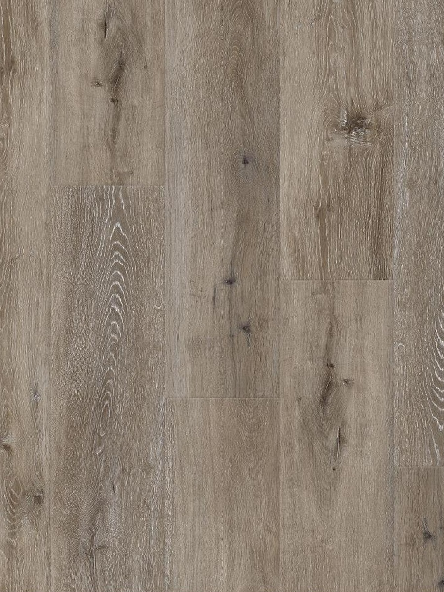 White Oak — Sarah C colorway